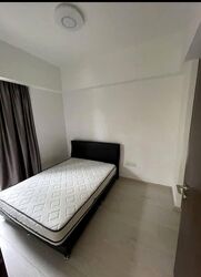 d'Nest (D18), Condominium #540401351